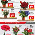 lidl folheto 19 a 25 abril digital-64.jpg